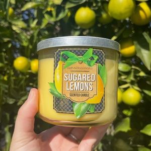 bath and body works candle Sugared Lemons Winter Market 2013 collection